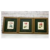 3 framed rose botanical prints