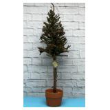 Homespun holidays  Pine topiary tree