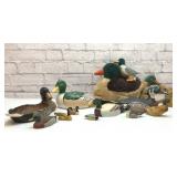 Assorted duck collection