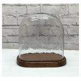 Glass dome on wood display 10x11ï¿½ï¿½