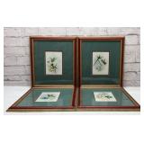 4 hummingbird framed prints