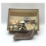 Box of seashells & lg geode