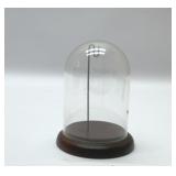 VTG pocket watch glass dome display