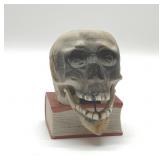 VTG NODDING JAW SKULL MATCH HOLDER