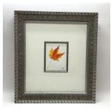 PIFER LEAF WATERCOLOR FRAMED, SIGNED