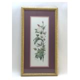 DEB COLLINS SIGNED COTTON PRINT 241/2950