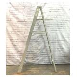 6ft Aluminum LADDER