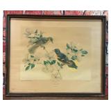1942 LITHOGRAPH BIRDS DOGWOOD TIME ORIOLE