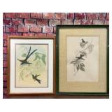2 VTG FRAMED HUMMINGBIRD ART PRINTS