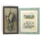 2 FRAMED BIRD PRINTS