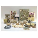 VTG SEASHELLS AND SAND DOLLARS
