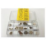 FOSSILS ASSORTMENT
