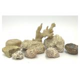 ASSORTED CORAL SHELLS ROCKS