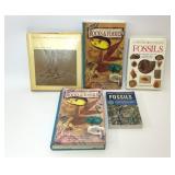 5 FOSSILS ROCKS BOOKS