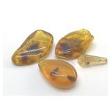 AMBER FOSSILS WITH BUGS IN THEM
