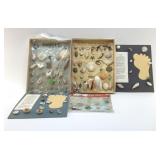 VTG SEASHELL COLLECTION