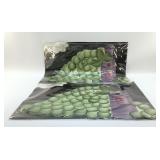 CAROL SHIBER HAND PAINTED PLACEMATS