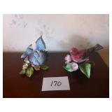 Lenox Blue Jay & Purple Finch