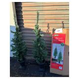2 Christmas Trees in Urns