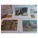 Weyerhaeuser Wildlife Prints