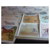 Quarter Horse Prints