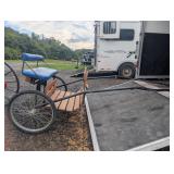Easy entry cart