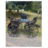 Pacific carriage