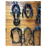 Harness