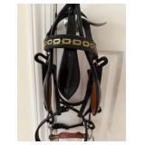 Concord Harness