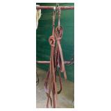 Six in Hand Reins