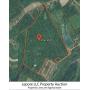 Parcel 6:  140 Acres with Timber