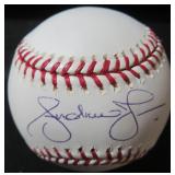 Andruw Jones Signed OMLB