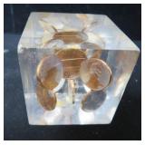 Lincoln Cents in Lucite Cube, 1970