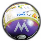 Pokemon Ball