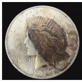 1923 Silver Peace Dollar, Wonderful Coin!