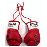 Everlast MINI Sugar Ray Robinson Boxing Gloves