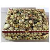 Shell Art Box, 10"x8"x3"