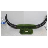 Mounted Horns (Tips of Horns Gone, Somebody