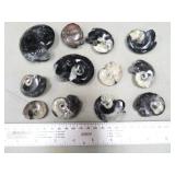 Goniatite Fossils Ammonite, $14 Shipping