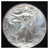 Toned 2016 American Silver Eagle