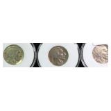 1935,1936,1937 Buffalo Nickels Mini Run