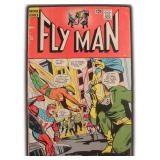 Fly Man #31