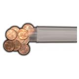 TEN (10) Very Nice Wheat Cents