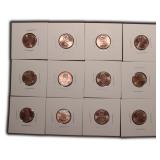 Shield Penny Collection