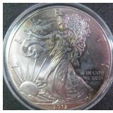 Toned 2011 American Silver Eagle