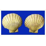 We Ship: PMC Brass Shell Bookends, Vintage