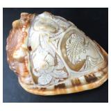 We Ship: Highly Detailed Decorated Shell