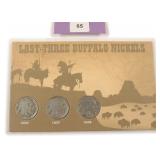 Three (3) Buffalo Nickels Display