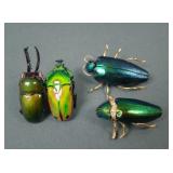 Lot of Four Real Scarab Beetle Jewelry