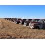 Approx. 300  Classic Cars at Auction